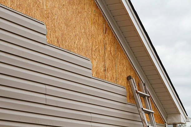24/7 Emergency Vinyl Siding experts in Lakeview, OH